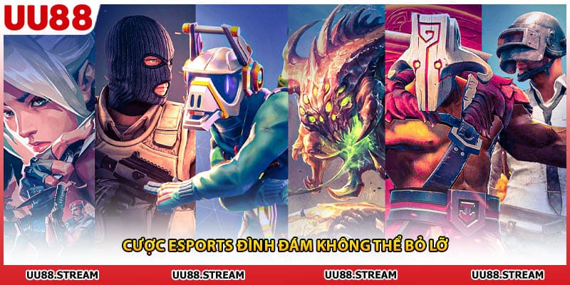 Cược esports đình đám không thể bỏ lỡ