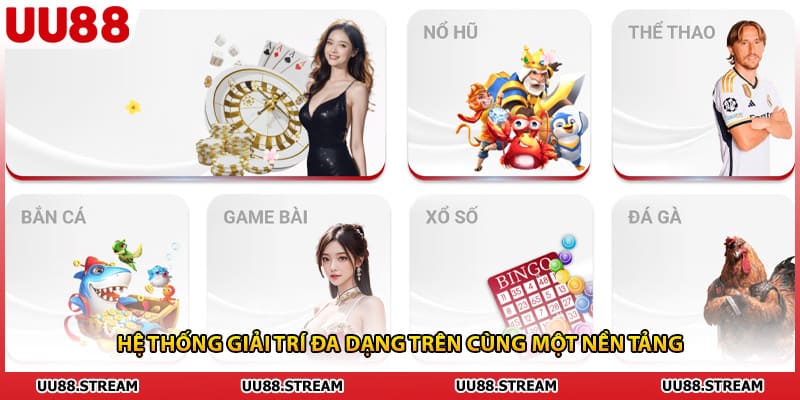 Hệ thống giải trí đa dạng trên cùng một nền tảng