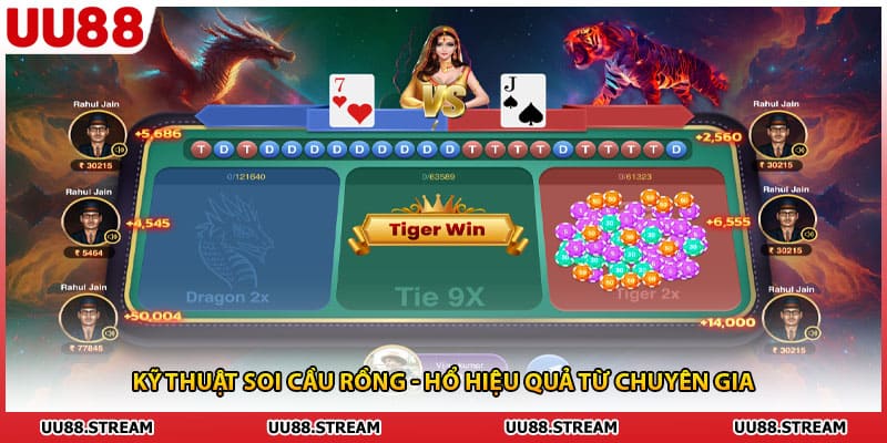 Kỹ thuật soi cầu rồng - hổ hiệu quả từ chuyên gia