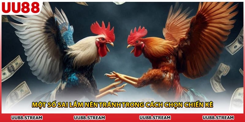 Một số sai lầm nên tránh trong cách chọn chiến kê