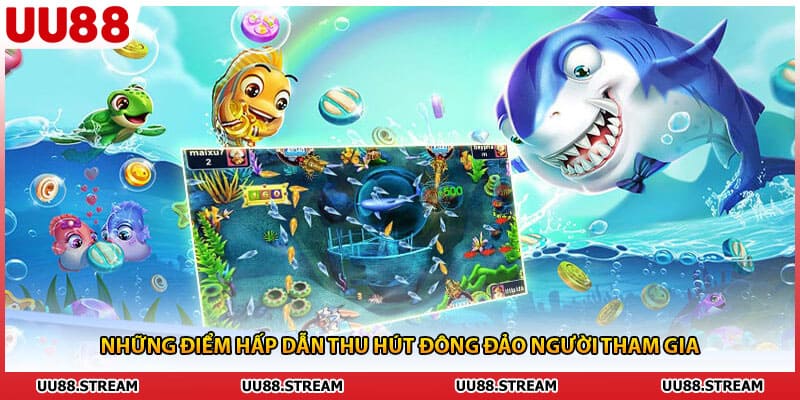 Những điểm hấp dẫn thu hút đông đảo người tham gia